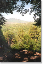scenery